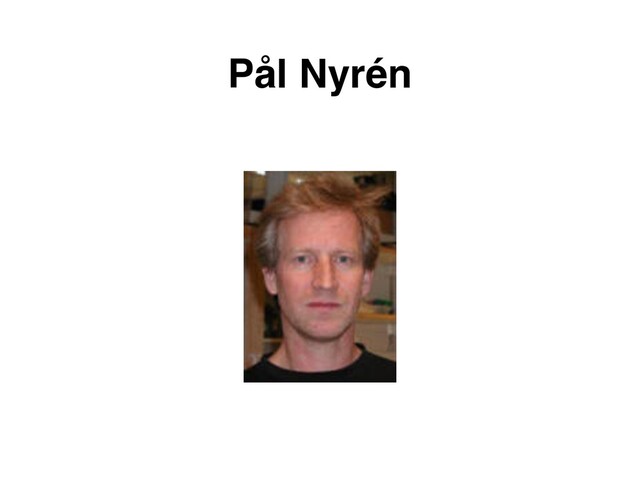Pål Nyrén
