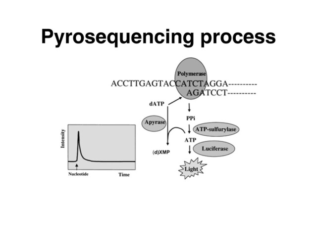Pyrosequencing process
