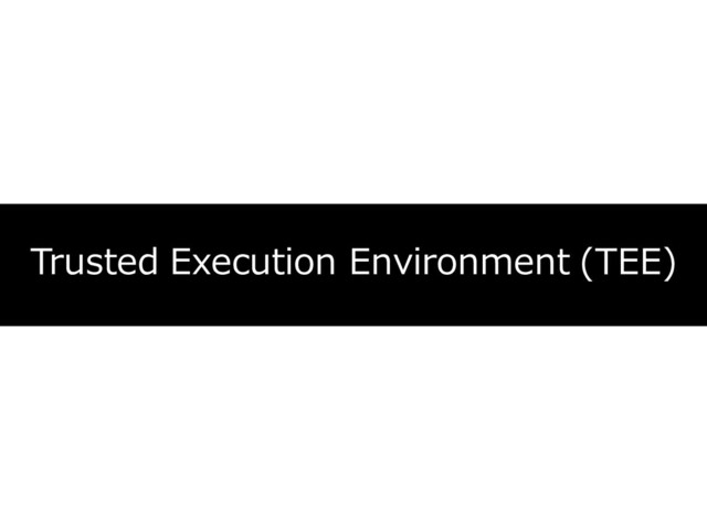 Trusted Execution Environment (TEE)
