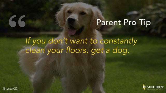 “
If you don’t want to constantly
clean your floors, get a dog.
Parent Pro Tip
@tessak22
