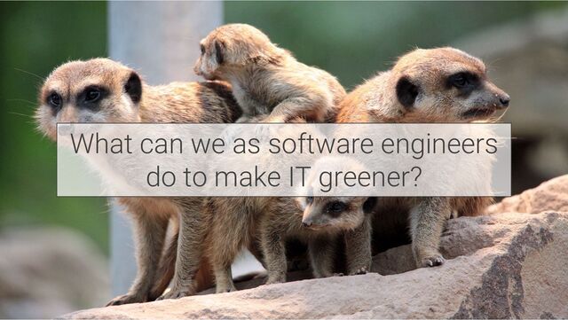 What can we as software engineers
do to make IT greener?
