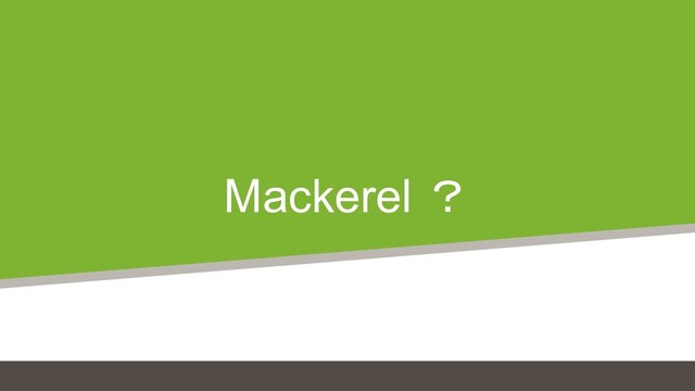 Mackerel ？
