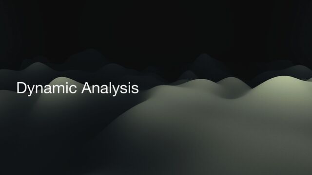Dynamic Analysis

