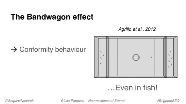 @SequinsNsearch Giulia Panozzo – Neuroscience of Search #BrightonSEO
The Bandwagon effect
Agrillo et al., 2012
à Conformity behaviour
…Even in fish!
