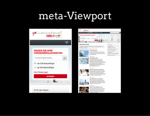 meta-Viewport
