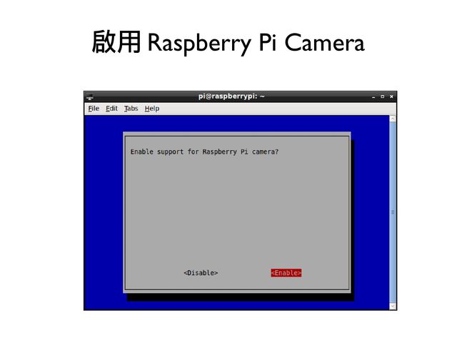啟用 Raspberry Pi Camera
