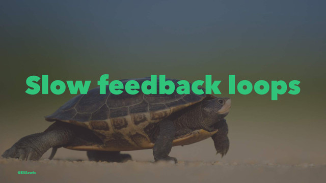 Slow feedback loops
@EliSawic
