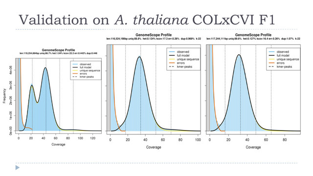 Validation on A. thaliana COLxCVI F1
