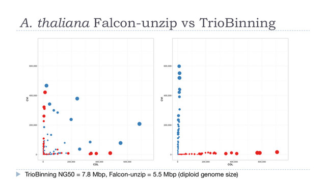 A. thaliana Falcon-unzip vs TrioBinning
TrioBinning NG50 = 7.8 Mbp, Falcon-unzip = 5.5 Mbp (diploid genome size)
