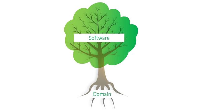 Software
Domain
