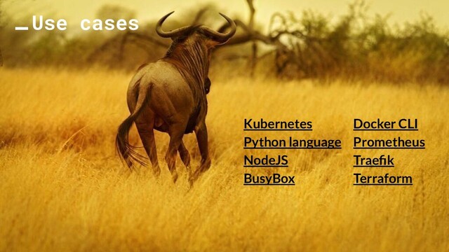 Use cases
Kubernetes
Python language
NodeJS
BusyBox
Docker CLI
Prometheus
Traeﬁk
Terraform
