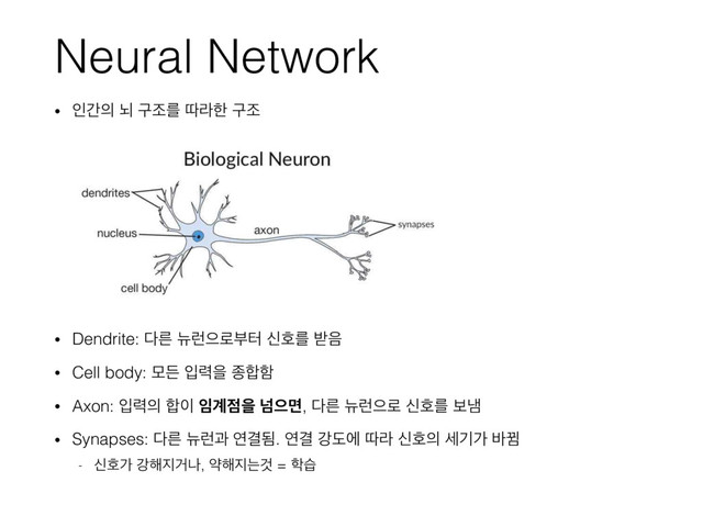 Neural Network
• ੋр੄ ֱ ҳઑܳ ٮۄೠ ҳઑ
• Dendrite: ׮ܲ ׏۠ਵ۽ࠗఠ नഐܳ ߉਺
• Cell body: ݽٚ ੑ۱ਸ ઙ೤ೣ
• Axon: ੑ۱੄ ೤੉ ੐҅੼ਸ ֈਵݶ, ׮ܲ ׏۠ਵ۽ नഐܳ ࠁն
• Synapses: ׮ܲ ׏۠җ োѾؽ. োѾ ъبী ٮۄ नഐ੄ ࣁӝо ߄Պ
- नഐо ъ೧૑Ѣա, ড೧૑חѪ = ೟ण
