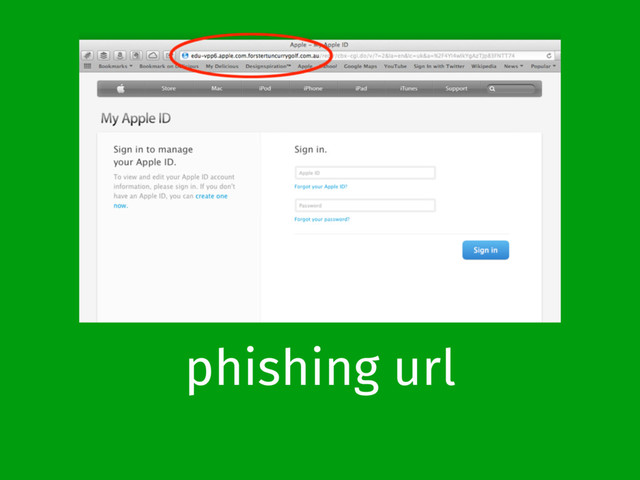 phishing url
