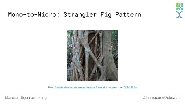 @karesti | @gunnarmorling #Infinispan #Debezium
Photo: “Strangler vines on trees, seen on the Mount Sorrow hike” by cynren, under CC BY SA 2.0
Mono-to-Micro: Strangler Fig Pattern
