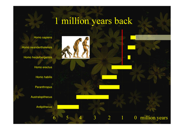 1 million years back
1 million years back
Homo neanderthalensis
Homo sapiens
Homo heidelbergensis
Homo habilis
Homo erectus
Paranthropus
Ardipithecus
Australopithecus
6 5 4 3 2 1 0 million years
