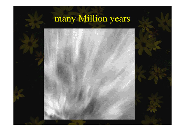 many Million years
many Million years
19/36
