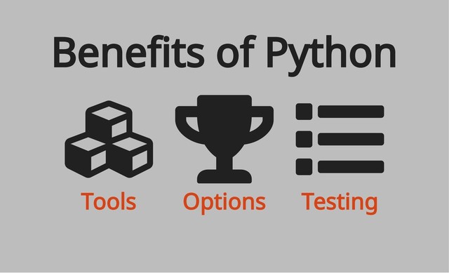 Tools Options Testing
Benefits of Python

