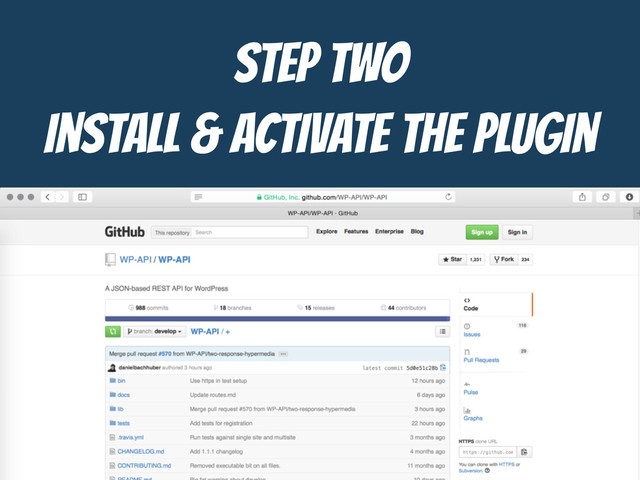 STEP TWO

Install & Activate the Plugin
