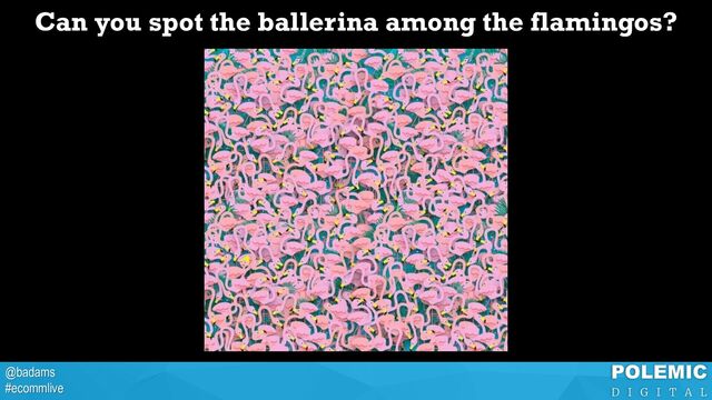 @badams
#ecommlive
Can you spot the ballerina among the flamingos?
