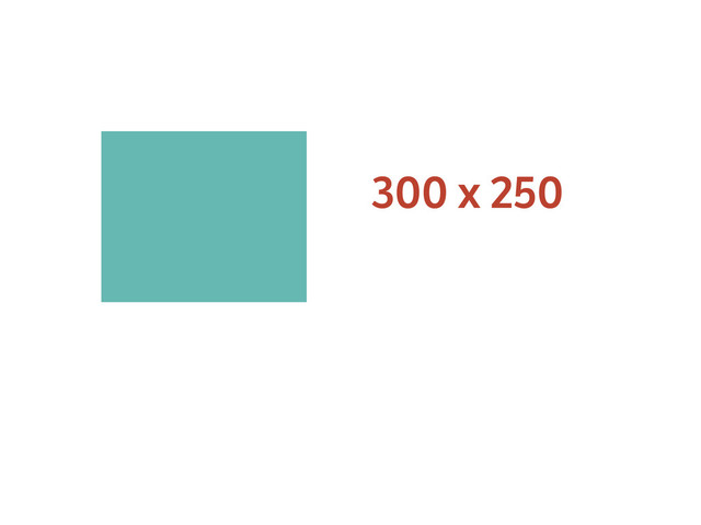 300 x 250
