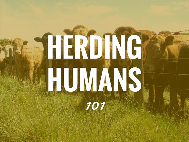 HERDING
HUMANS
101
