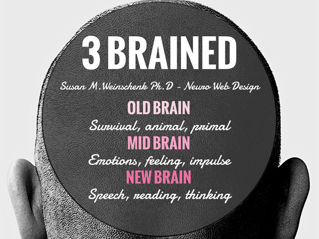 3 BRAINED
Susan M.Weinschenk Ph.D - Neuro Web Design
OLD BRAIN
Survival, animal, primal
MID BRAIN
Emotions, feeling, impulse
NEW BRAIN
Speech, reading, thinking
