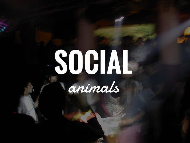 SOCIAL
animals
