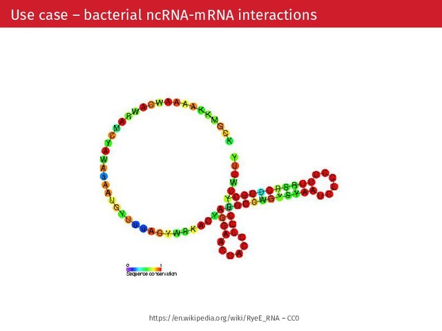 Use case – bacterial ncRNA-mRNA interactions
https://en.wikipedia.org/wiki/RyeE_RNA – CC0
