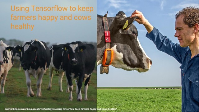 Half screen photo slide if
text is necessary
Using Tensorflow to keep
farmers happy and cows
healthy
Source: https://www.blog.google/technology/ai/using-tensorflow-keep-farmers-happy-and-cows-healthy/

