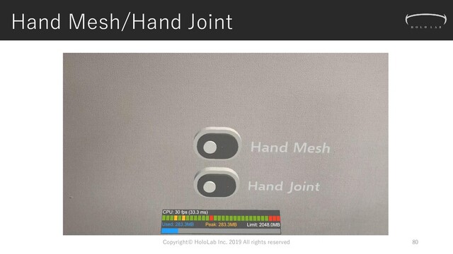 Hand Mesh/Hand Joint
Copyright© HoloLab Inc. 2019 All rights reserved 80
