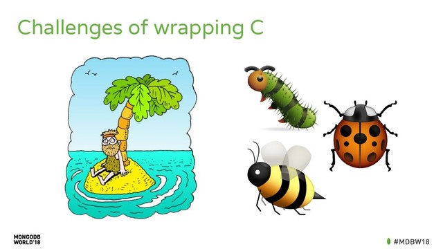 Challenges of wrapping C
