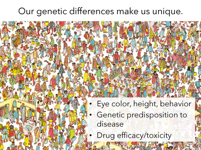 Our genetic differences make us unique.
•  Eye color, height, behavior
•  Genetic predisposition to
disease
•  Drug efﬁcacy/toxicity
