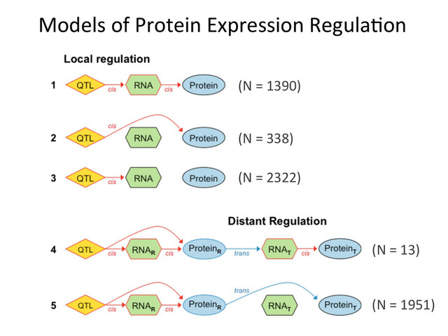 Models	  of	  Protein	  Expression	  Regula6on	  
(N	  =	  1390)	  
(N	  =	  338)	  
(N	  =	  2322)	  
(N	  =	  13)	  
(N	  =	  1951)	  
