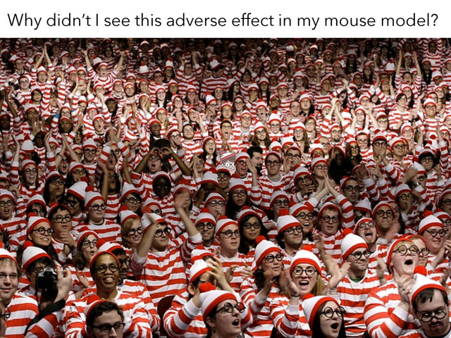 Why didn’t I see this adverse effect in my mouse model?
