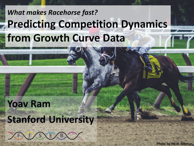 What makes Racehorse fast?
Predicting Competition Dynamics
from Growth Curve Data
Yoav Ram
Stanford University
Photo by Noah Silliman
