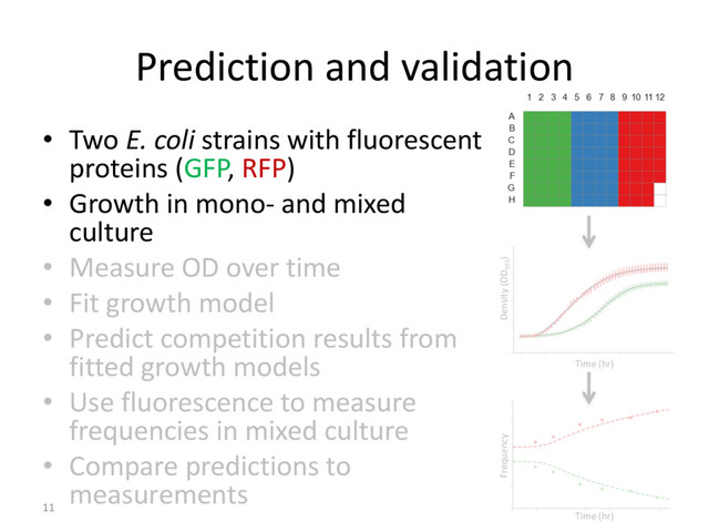 Prediction and validation
11
• Two E. coli strains with fluorescent
proteins (GFP, RFP)
• Growth in mono- and mixed
culture
• Measure OD over time
• Fit growth model
• Predict competition results from
fitted growth models
• Use fluorescence to measure
frequencies in mixed culture
• Compare predictions to
measurements
Frequency
Time (hr)
Time (hr)
Density (OD595
)
