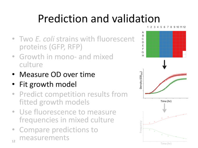 Prediction and validation
12
• Two E. coli strains with fluorescent
proteins (GFP, RFP)
• Growth in mono- and mixed
culture
• Measure OD over time
• Fit growth model
• Predict competition results from
fitted growth models
• Use fluorescence to measure
frequencies in mixed culture
• Compare predictions to
measurements
Frequency
Time (hr)
Time (hr)
Density (OD595
)
