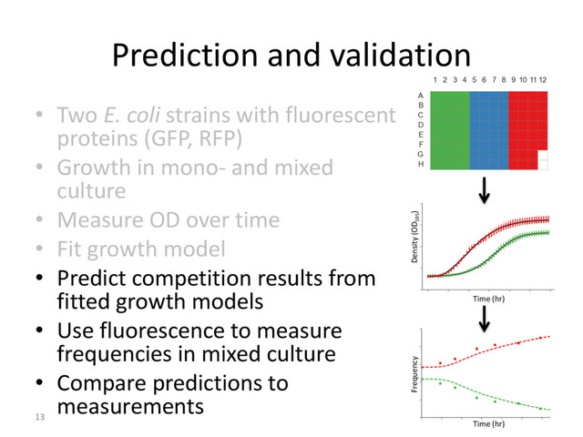 Prediction and validation
13
• Two E. coli strains with fluorescent
proteins (GFP, RFP)
• Growth in mono- and mixed
culture
• Measure OD over time
• Fit growth model
• Predict competition results from
fitted growth models
• Use fluorescence to measure
frequencies in mixed culture
• Compare predictions to
measurements
Frequency
Time (hr)
Time (hr)
Density (OD595
)
