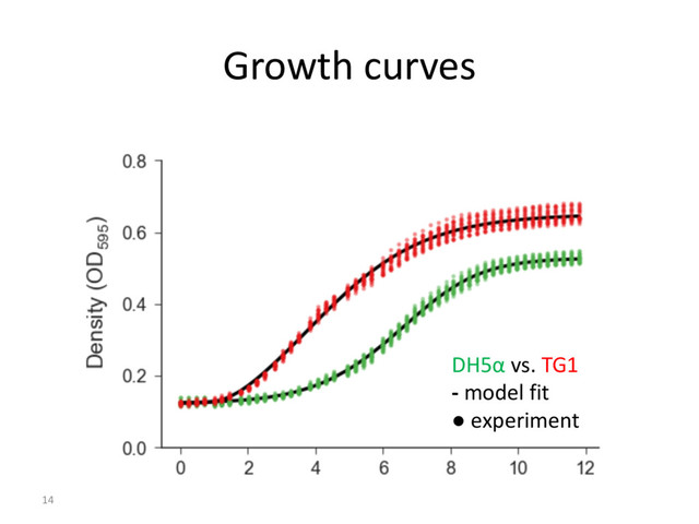 Growth curves
14
DH5α vs. TG1
- model fit
● experiment
