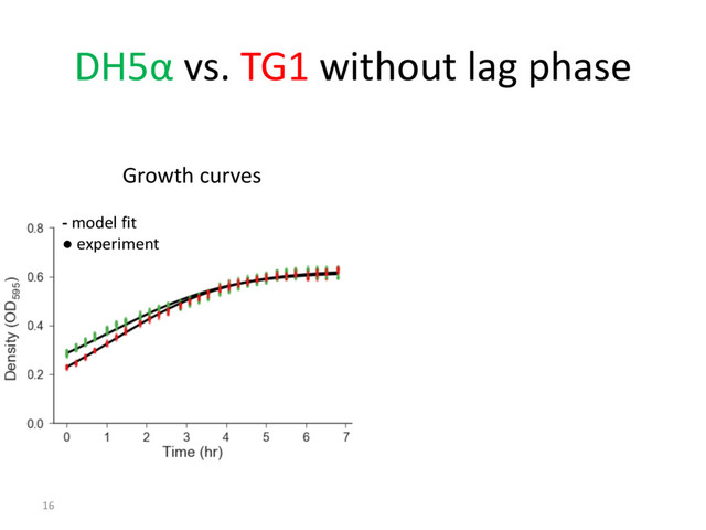 DH5α vs. TG1 without lag phase
16
- model fit
● experiment
Growth curves

