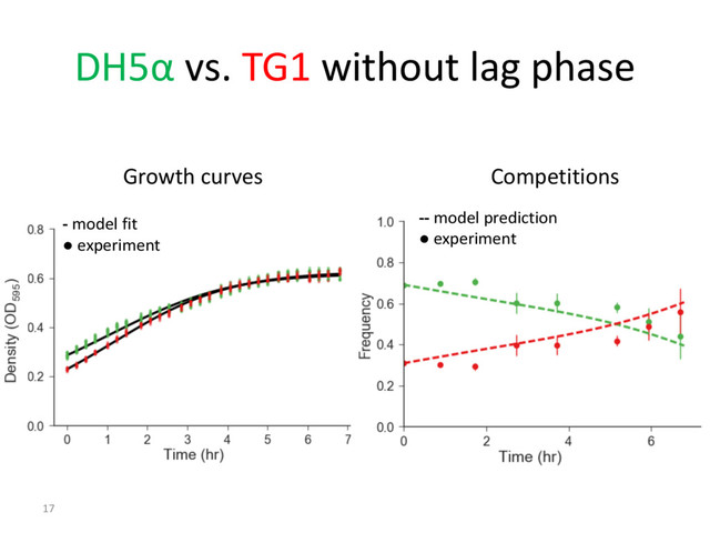DH5α vs. TG1 without lag phase
17
-- model prediction
● experiment
- model fit
● experiment
Growth curves Competitions
