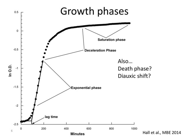 Growth phases
6
Also…
Death phase?
Diauxic shift?
Hall et al., MBE 2014
