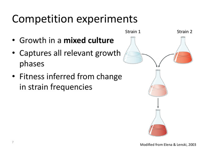 Competition experiments
• Growth in a mixed culture
• Captures all relevant growth
phases
• Fitness inferred from change
in strain frequencies
7
Modified from Elena & Lenski, 2003
Strain 1 Strain 2
