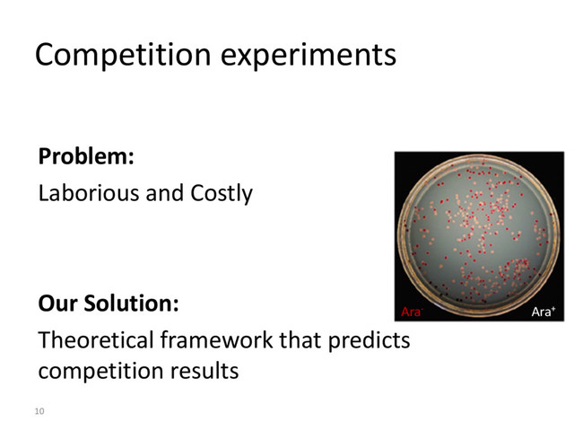 Competition experiments
Problem:
Laborious and Costly
Our Solution:
Theoretical framework that predicts
competition results
10
Ara- Ara+
