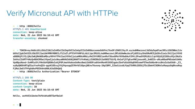 Verify Micronaut API with HTTPie

