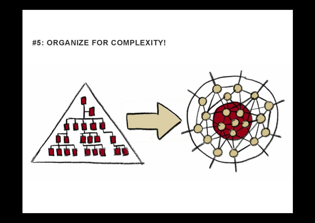 #5: ORGANIZE FOR COMPLEXITY!
