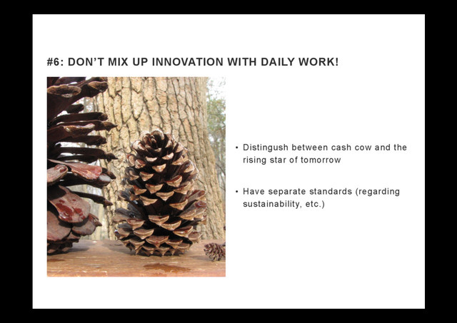 •  Distingush between cash cow and the
rising star of tomorrow
•  Have separate standards (regarding
sustainability, etc.)
#6: DON’T MIX UP INNOVATION WITH DAILY WORK!
