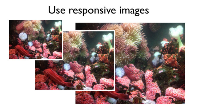 Use responsive images
