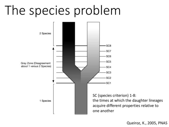 The species problem
Queiroz, K., 2005, PNAS
SC (species criterion) 1-8:
the times at which the daughter lineages
acquire different properties relative to
one another

