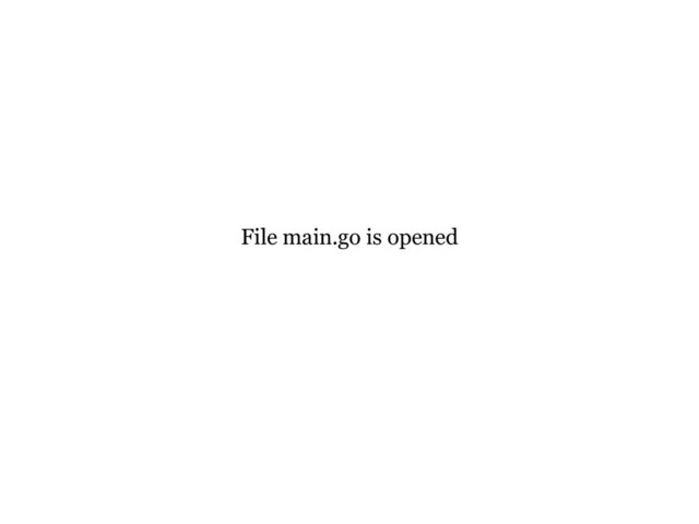 File main.go is opened
